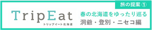 洞爺登別ニセコ