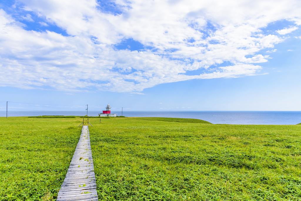 緑一面の中を根室の落石岬灯台へと続く木道