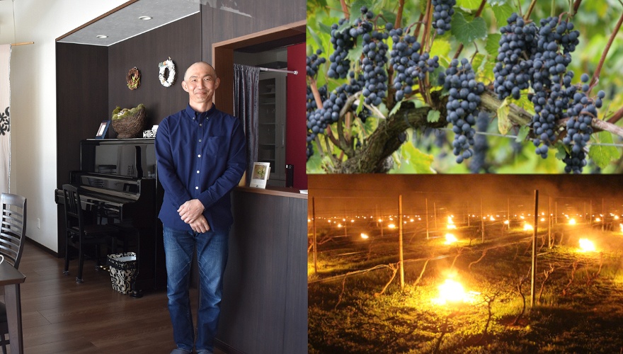 森臥の店内、ブドウ、ブドウ畑でのかがり火