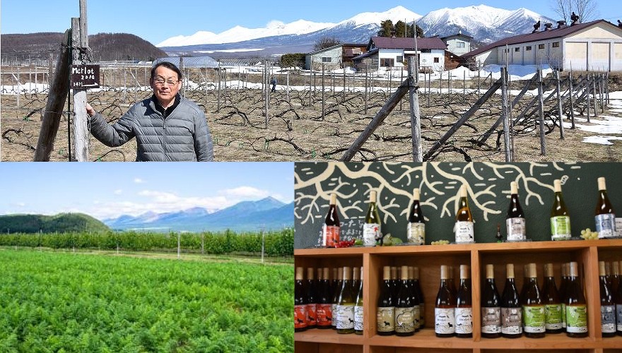 多田農園のブドウ畑、商品