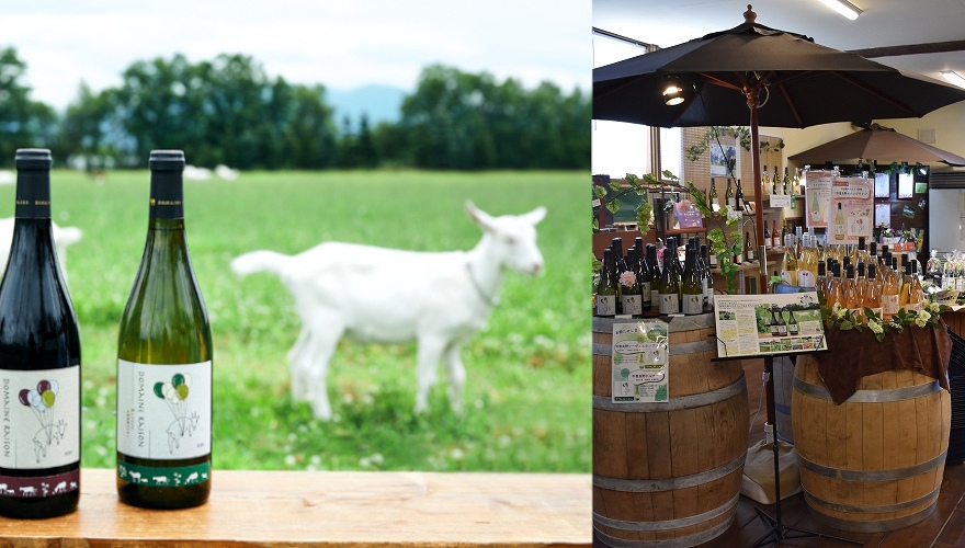 ドメーヌレゾンの商品と畑、店内