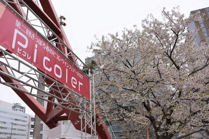 さっぽろテレビ塔で開催している第２回ピコレ春のワインフェアー２０２２の会場