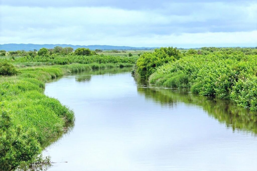 サロベツ原野を流れるサロベツ川