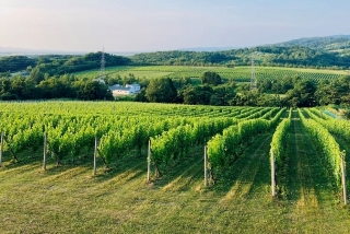 〈編集長の北海道ワイナリー巡り〉②山﨑ワイナリー（三笠市）農村の四季をワインボトルに詰める