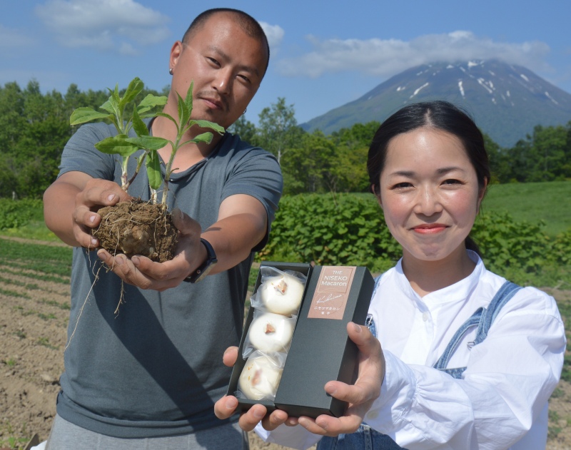 ニセコ産キクイモを使ったマカロン