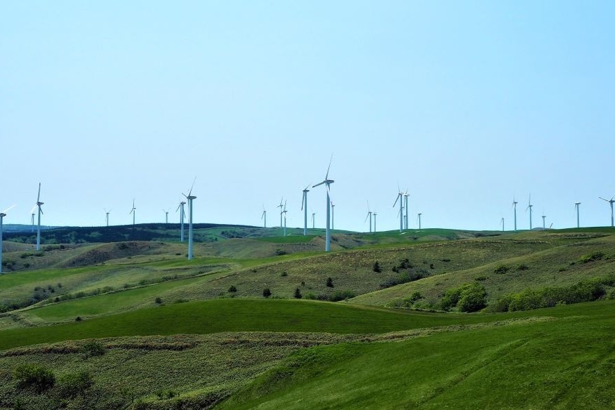白い道周辺で望める風車群