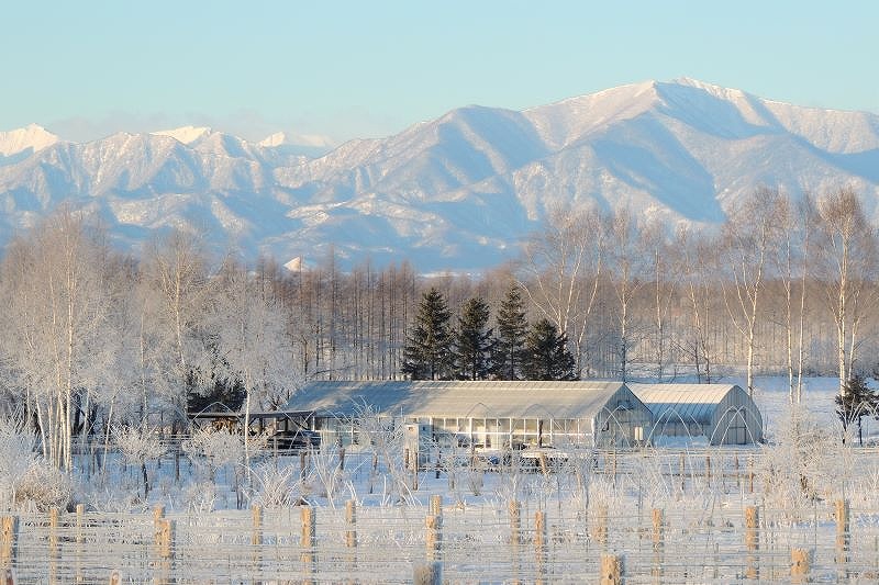 十勝平野の大自然の中にある相澤ワイナリーの冬の様子