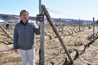 〈編集長の北海道ワイナリー巡り〉④多田農園(上富良野） 今年も芽吹く復活のメルロー