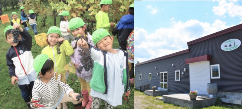 ワイナリー夢の森のブドウ畑で収穫体験を楽しむ子供たちとワイナリー夢の森の建物外観