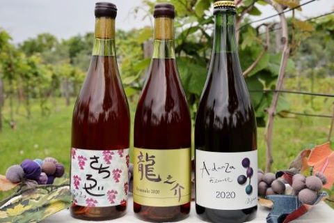 〈編集長の北海道ワイナリー巡り〉③相澤ワイナリー(帯広市)　56年ぶりに誕生した十勝に吹く新しい風