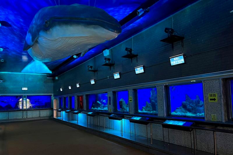 北海道最古の水族館「市立室蘭水族館」の館内