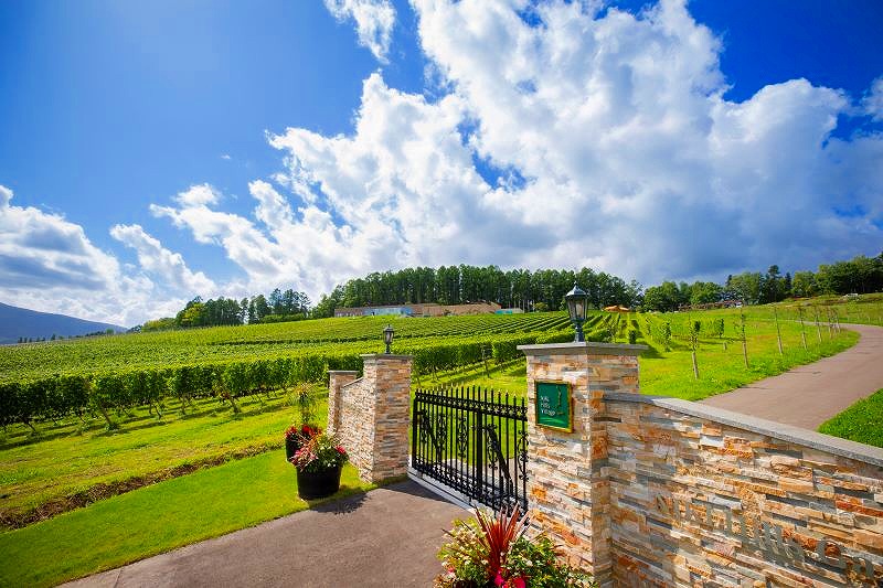 仁木町旭台の丘の上に建つ「NIKI Hills Winery」