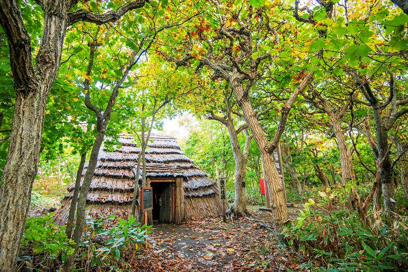 森の中に復元された川口遺跡の竪穴式住居の外観