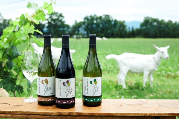 〈編集長のワイナリー巡り〉⑦ドメーヌレゾン(中富良野町)　人間と自然が共存できる環境でのワイン造りを