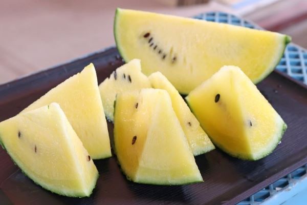 〈これが旬！〉輝く黄色　ひまわりすいか＊空知管内北竜町＊糖度11度以上　みずみずしく