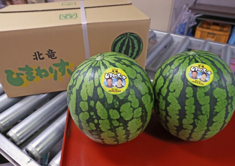 農協の選果場で検査した後に生産者の写真入りシールが貼られた、ひまわりすいか