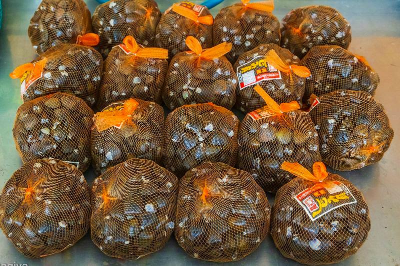 濃厚な味と大きさが自慢の天然しじみ