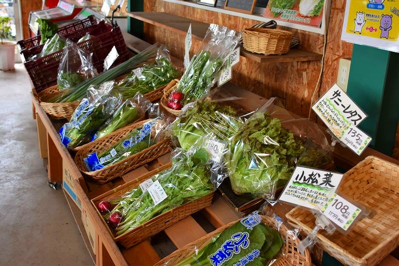 採れたて野菜が並ぶ余湖農園の直売所内