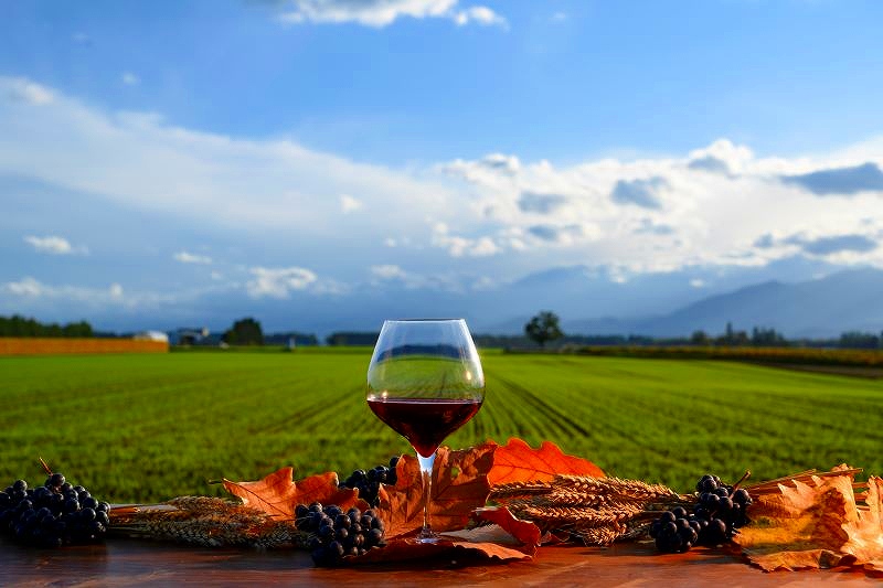 「めむろワイナリー」が生まれた芽室町の肥沃な畑作地帯をバックに置かれた１杯のワイン