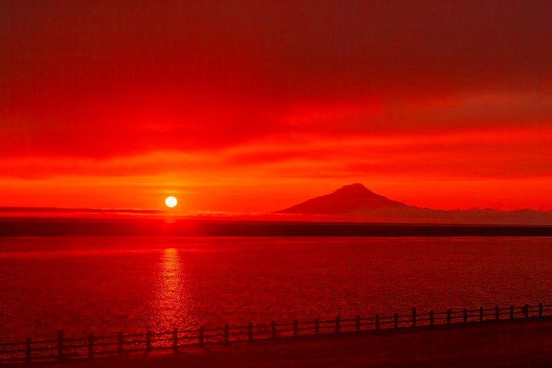 天塩川河川公園からの夕景と周辺の草花