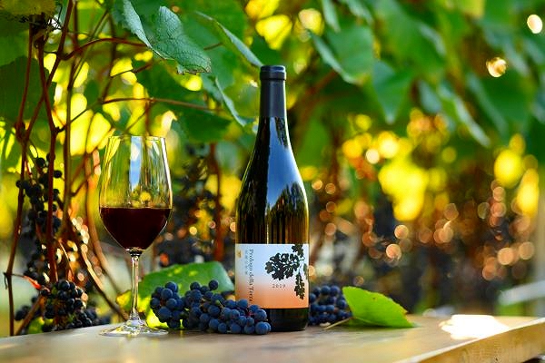 〈編集長の北海道ワイナリー巡り〉⑥めむろワイナリー(芽室町)　農業人の夢が生んだ｢畑ごとのワイン造り｣