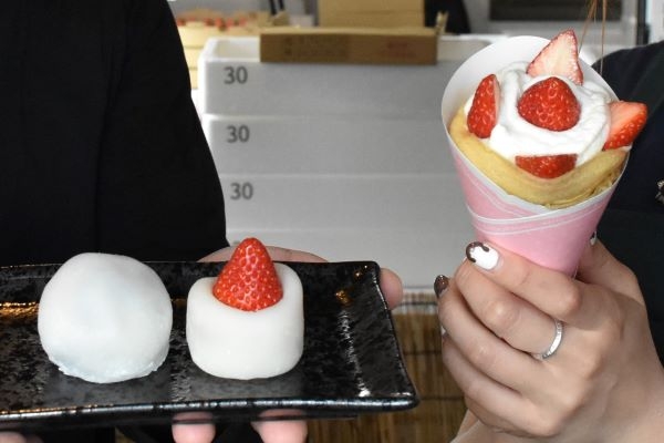 浦河の夏イチゴ　スイーツで＊卸売業・関口さんオープン＊酸味生かし　クレープや大福に