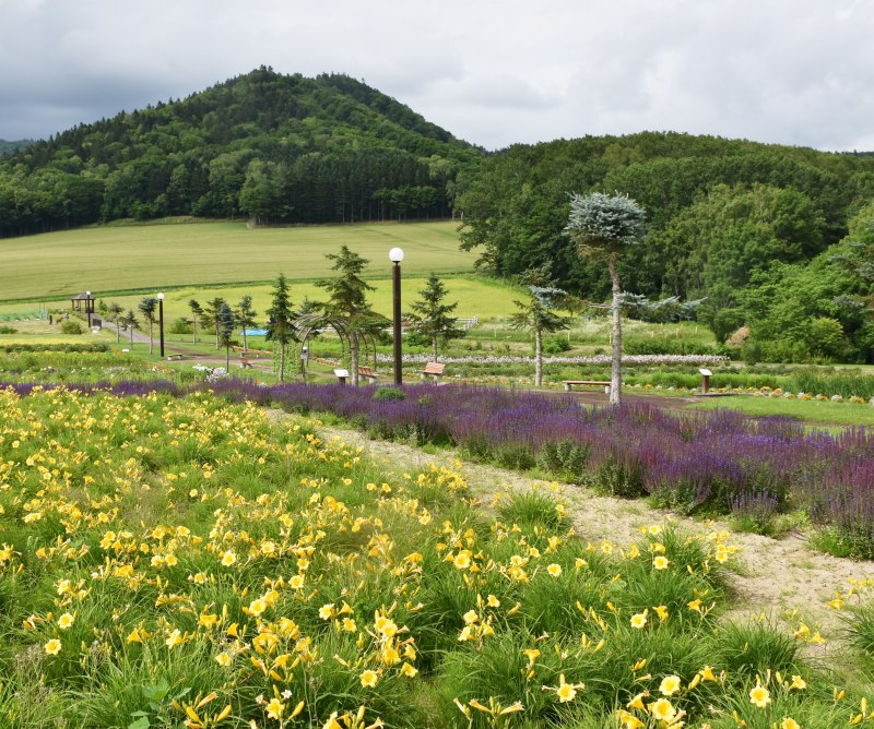 へメロカリスなどの花々が鮮やかに咲く「根々の丘」