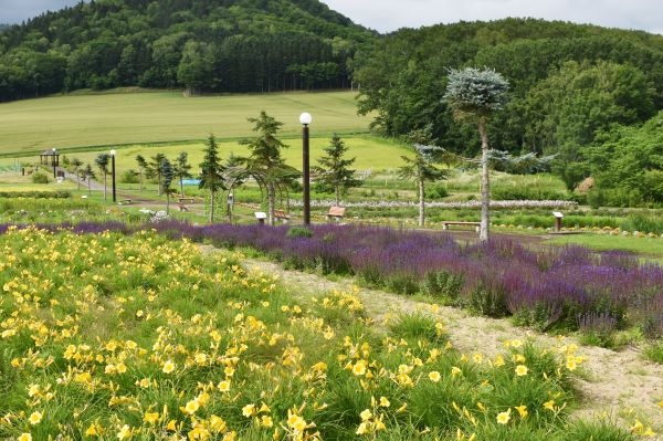 北見・留辺蘂町に遊びに来て＊花公園「根々の丘」　魅力アップ＊ポニー餌やり、パン作り…多彩に