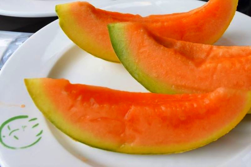 赤い果肉が魅惑的な夕張メロン