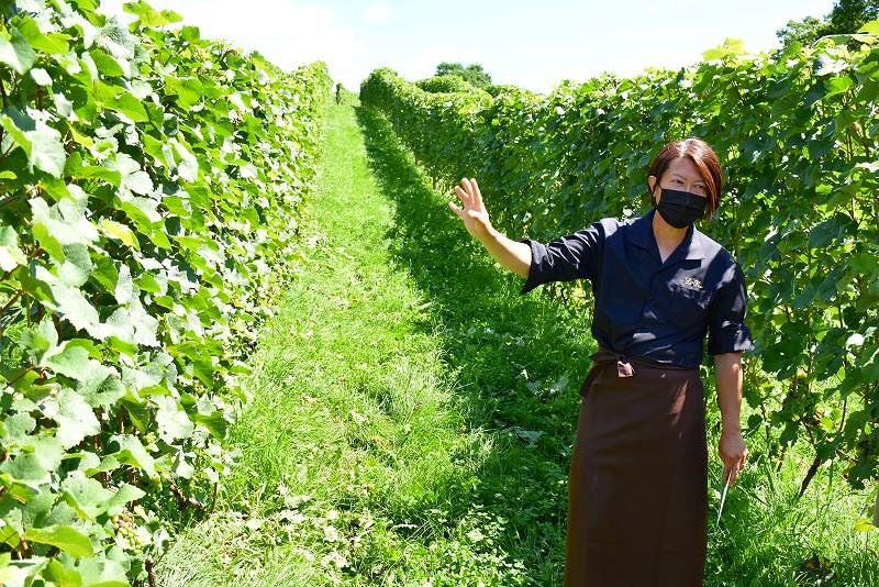 仁木町のル・レーヴ・ワイナリーのヴィンヤードを案内する本間裕康さん