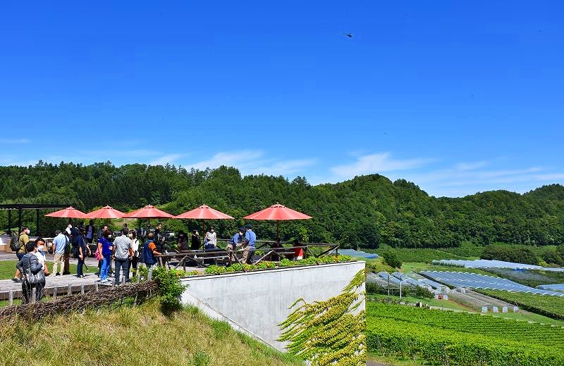 再校のロケーションのＮＩＫＩ　Ｈｉｌｌｓ　Ｗｉｎｅｒｙのランチ会場