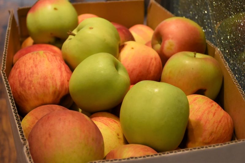 段ボール箱に入ったたくさんのリンゴ