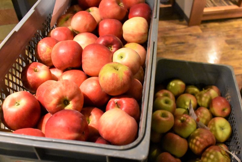 プラケースにたくさん入ったリンゴ