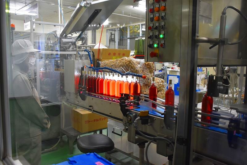 瓶詰めしたワインのチェック作業