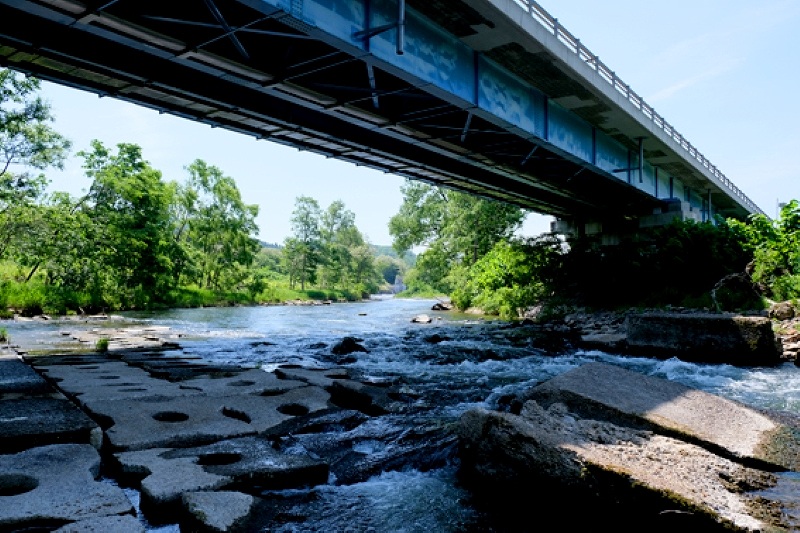 北限のアユが棲む余市川の流れ