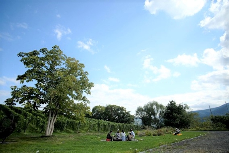 「ル・レーヴ・ワイナリー」のヴィンヤード