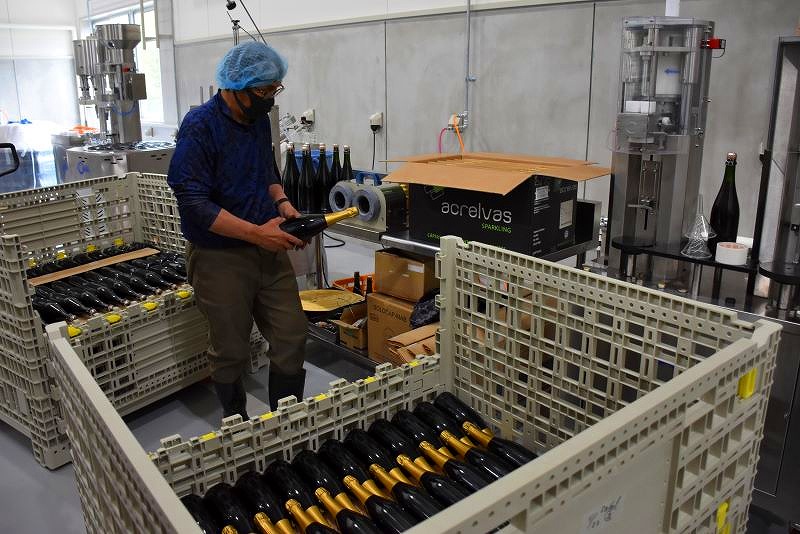 スパークリングワインの瓶詰め作業