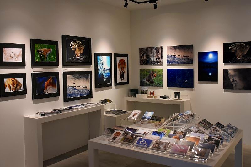 絵はがきや写真を買うことができるアートショップ