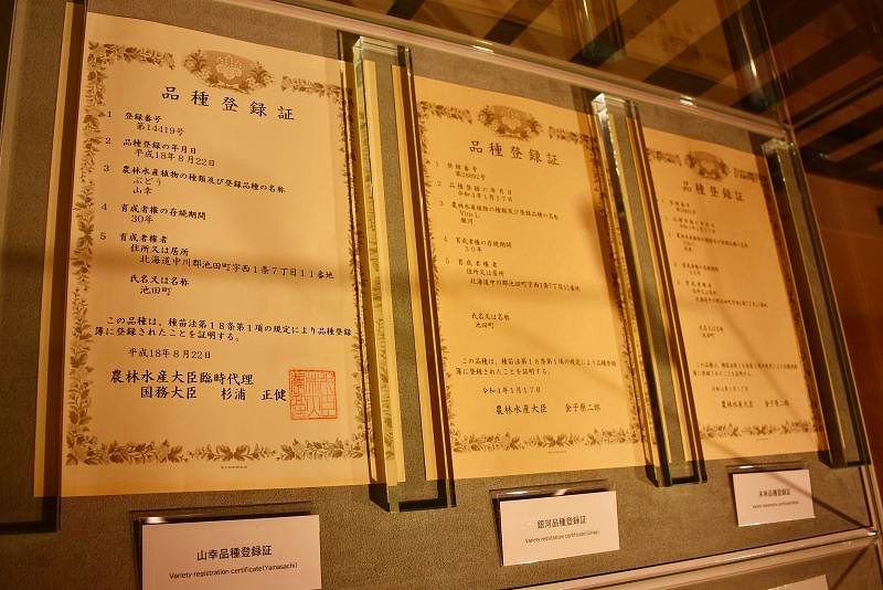 壁に掲げられたワイン用ブドウの品種登録証