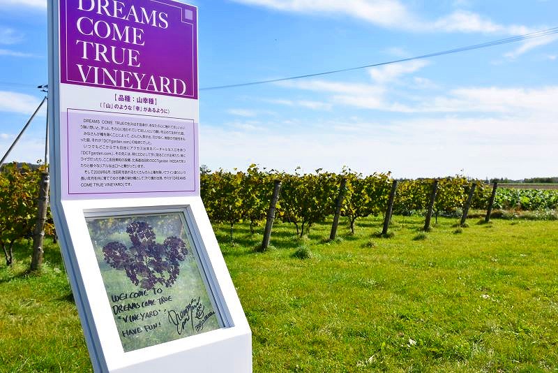 ドリームズ・カム・トゥルー・ヴィンヤードの看板