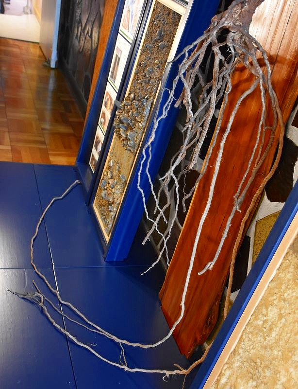 根の長さが際立つワインの樹