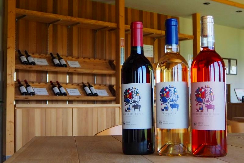 買いブドウで醸造したワイン。カラフルでポップなデザインが特徴