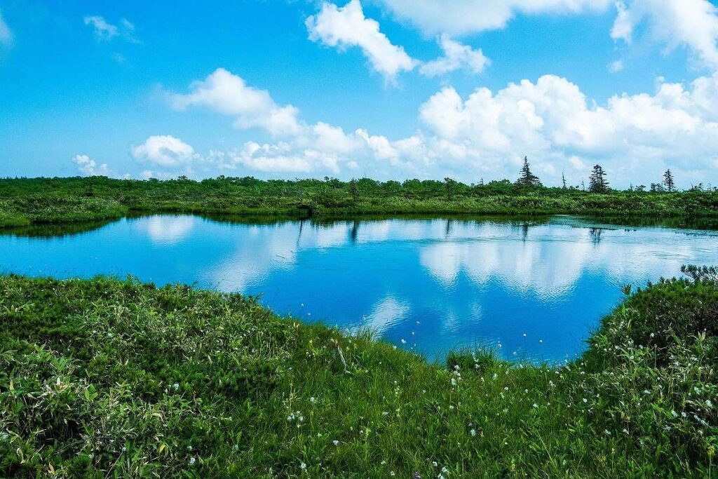 ピヤシリ湿原
