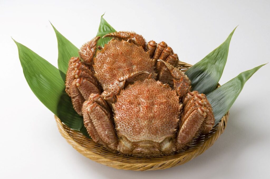 雄武町自慢の毛ガニ