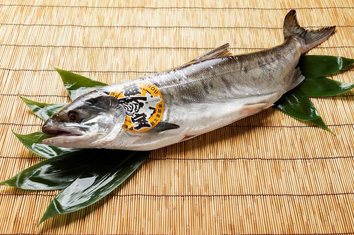 雄武町観光を楽しむ！地元おすすめ９つのポイント㊤豊かな自然や海産物、新鮮な牛乳やチーズを堪能＜北海道まち巡り＞