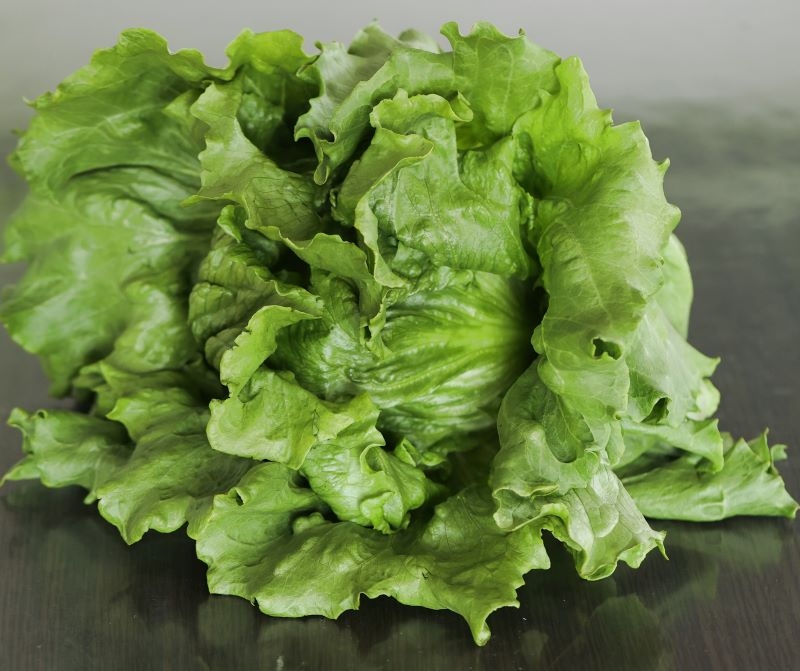 厚みがあり、しっかりとした歯応えのある春レタス