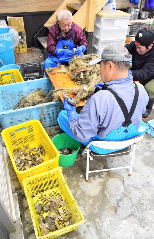 シャコを網から外す成田広幸さん（右端）ら