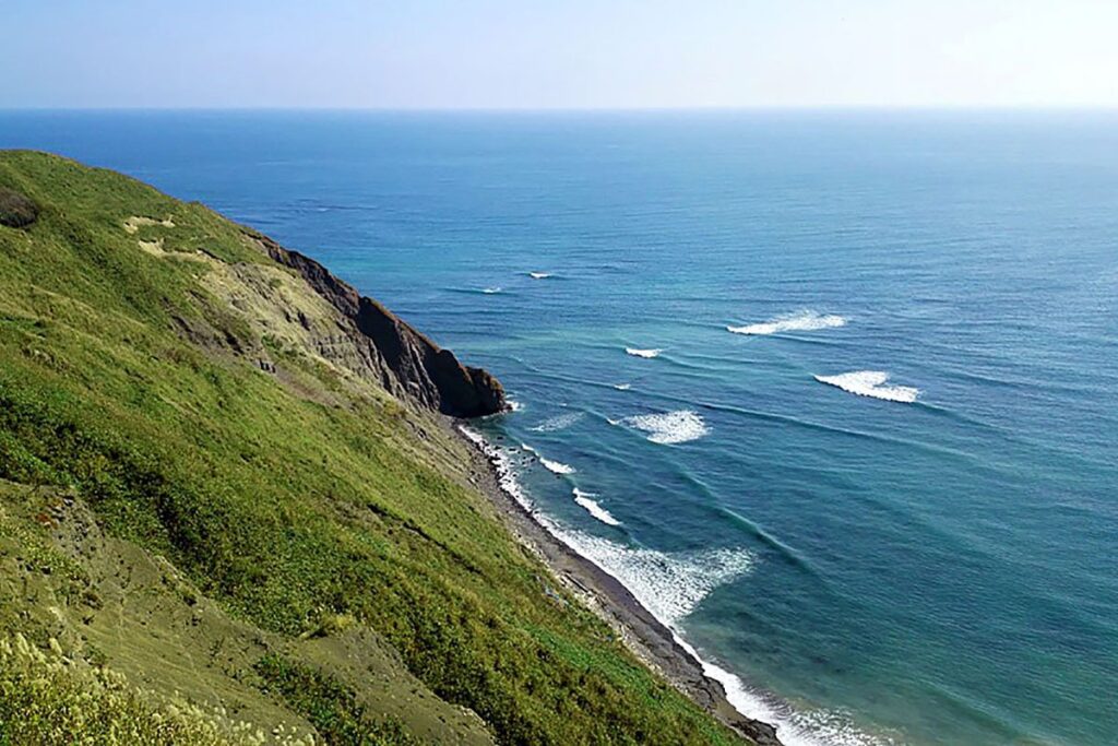 賤夫向の岬から見た太平洋