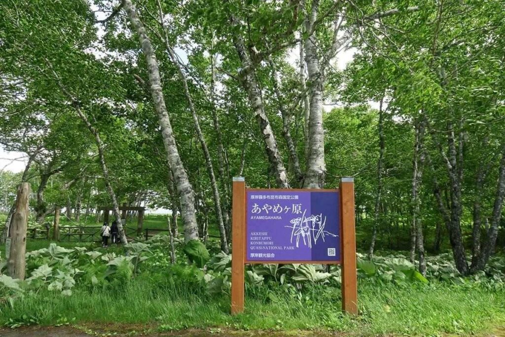 原生花園あやめヶ原と案内看板