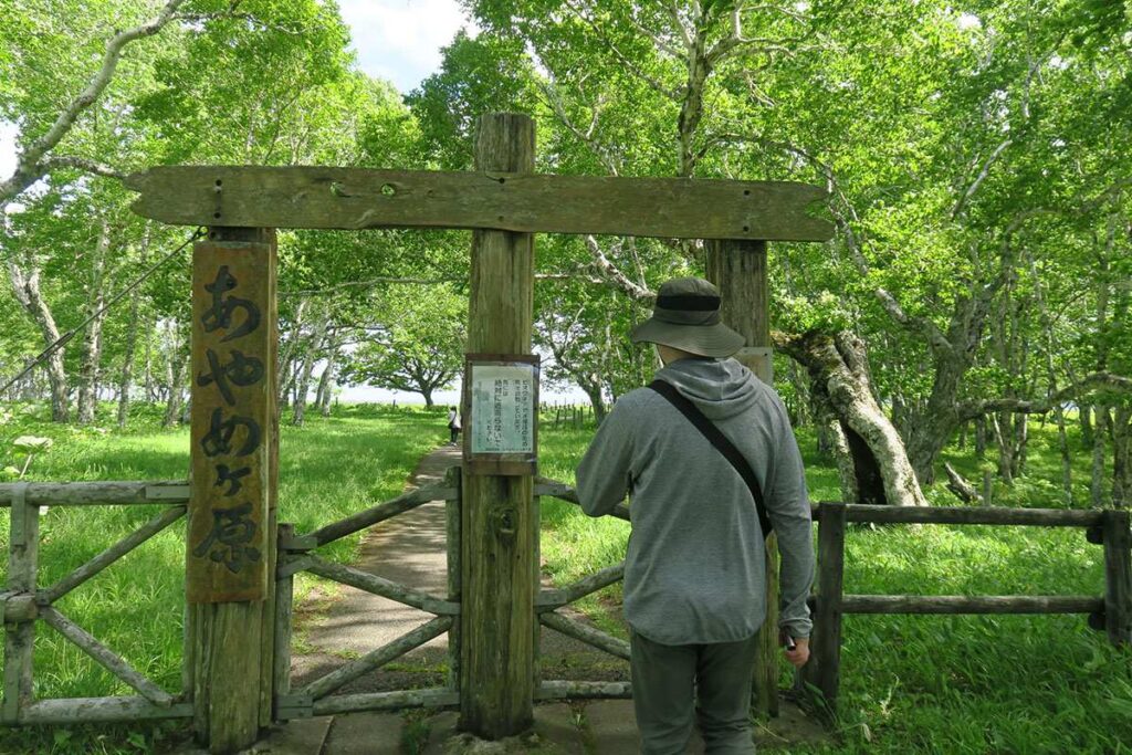 原生花園あやめヶ原の木道入り口